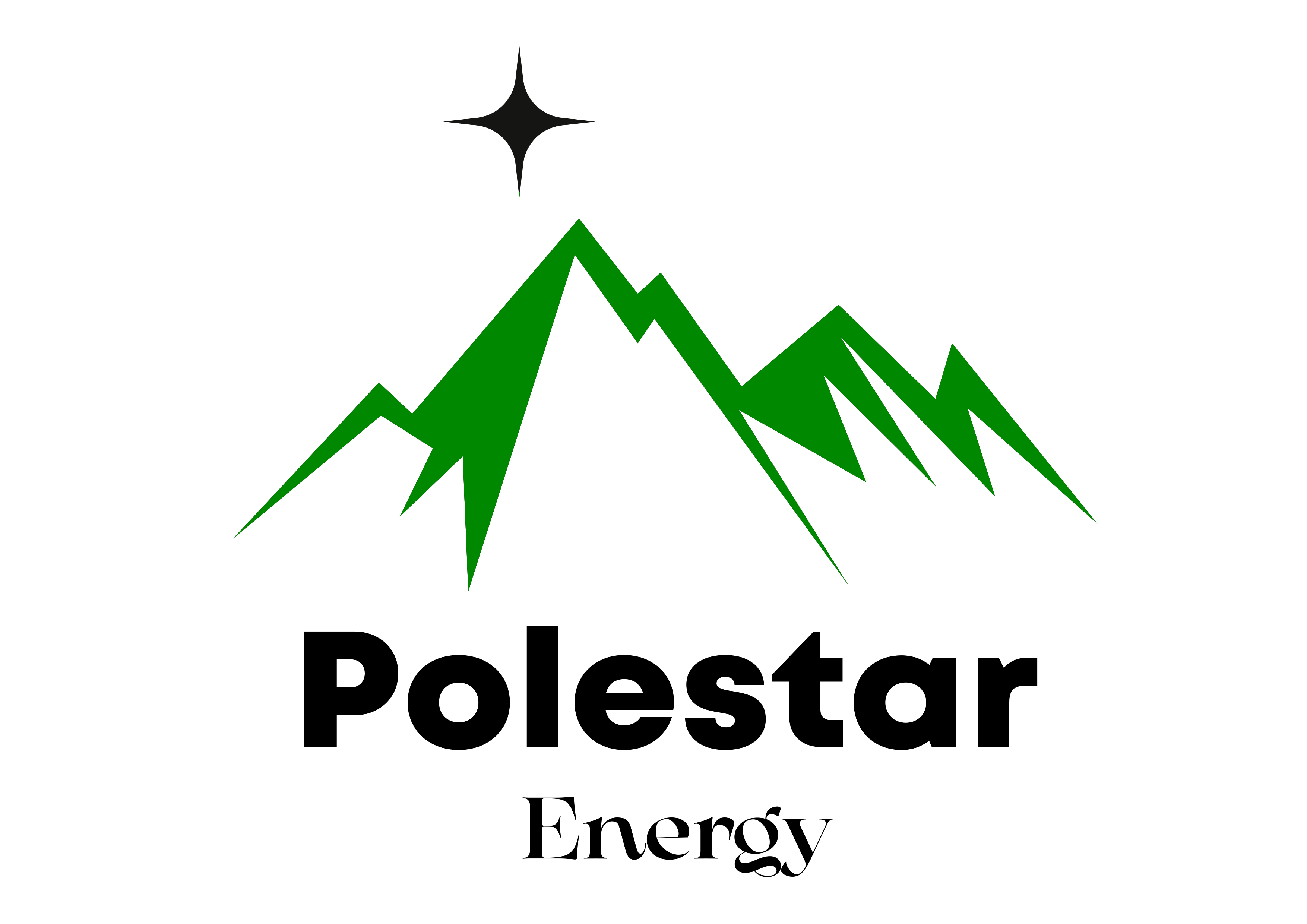 Logo POLESTAR 