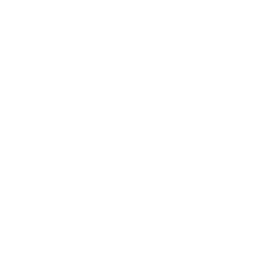 Logo instagram